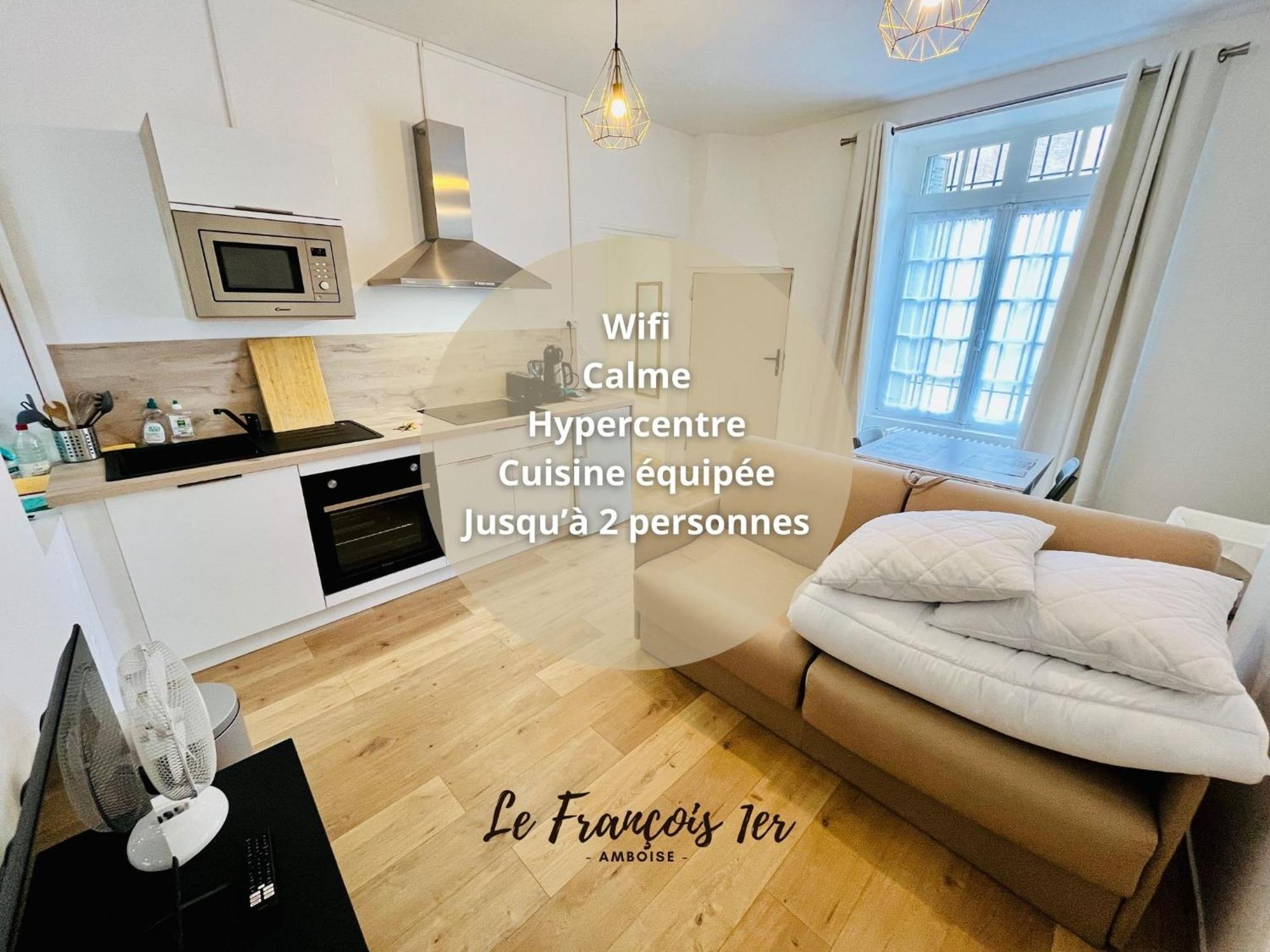 Le Francois 1Er - Studio Entre Loire Et Chateau Royal - Manoir De La Concorde Αμπουάζ Εξωτερικό φωτογραφία